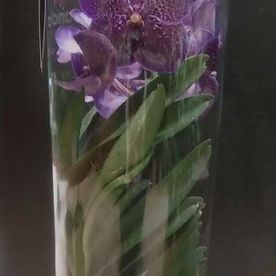 Flores Gares flor violeta