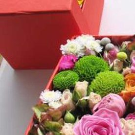 Flores Gares flores en cajas